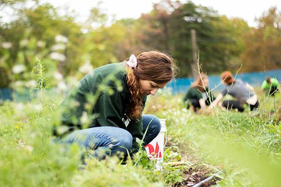 Students work in a field at 伊甸堂校园